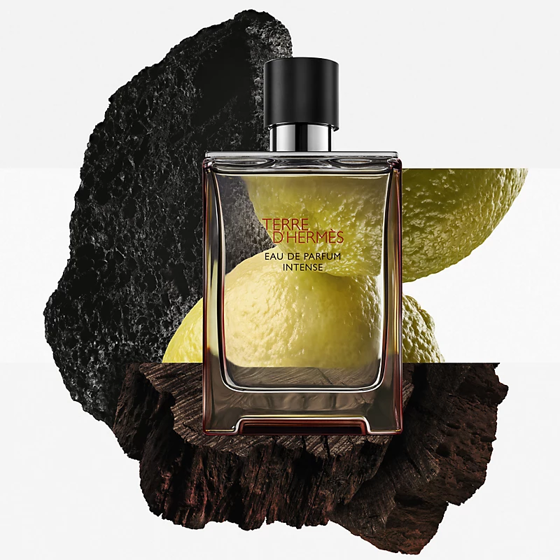 Terre d’Hermès Intense by Hermès – Eau de Parfum 100ML (2025)