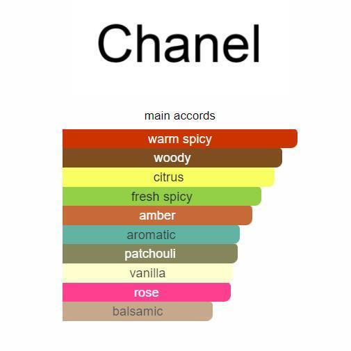 Coco Noir by Chanel – Eau de Parfum 100ML