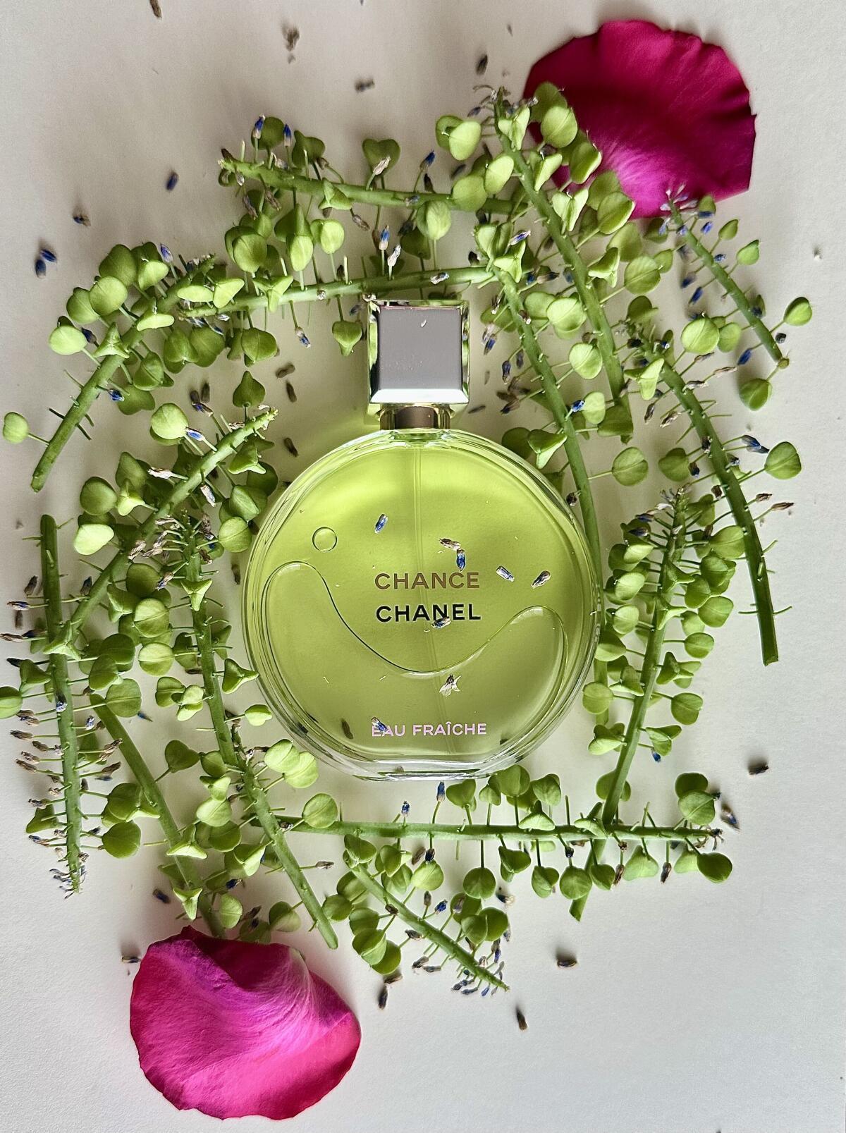 Chance Eau Fraîche by Chanel – Eau de Parfum 100ML