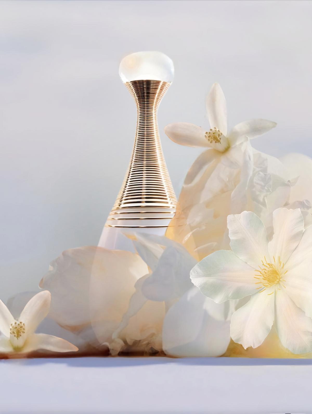 Dior J’adore Parfum d’Eau | 100ml