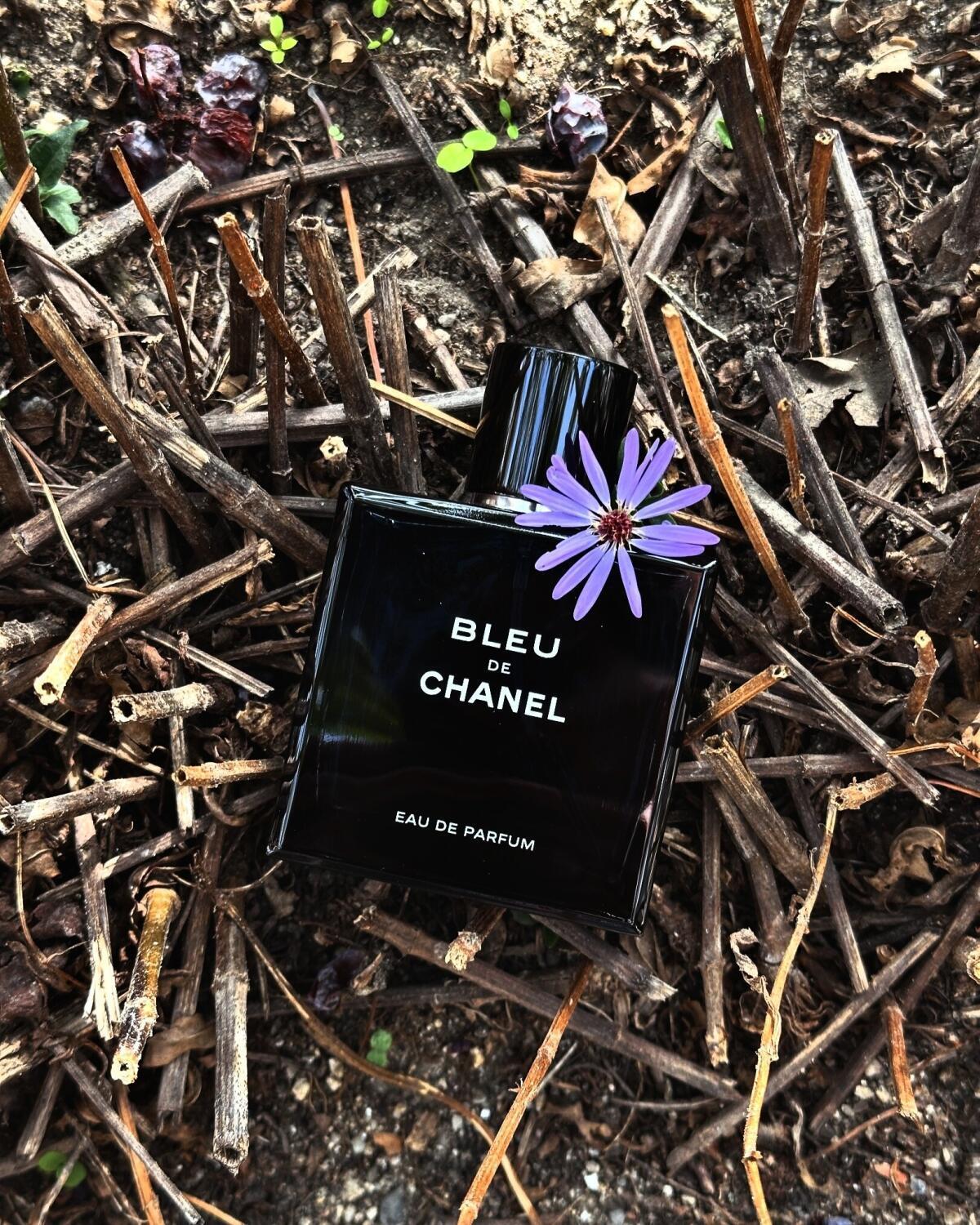 Bleu de Chanel by Chanel – Eau de Parfum 100ML (2014)