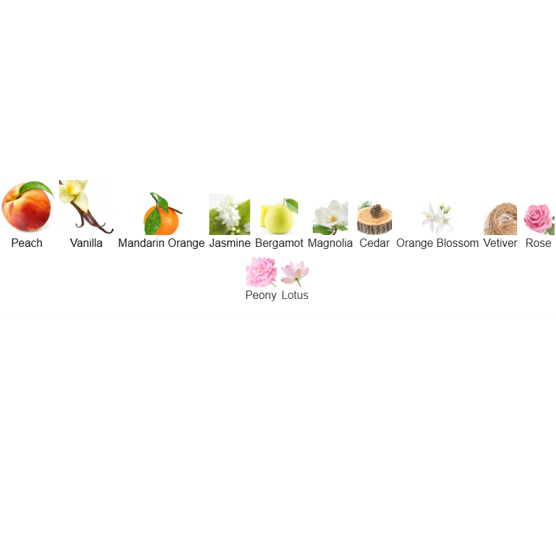 Allure by Chanel – Eau de Parfum 100ML