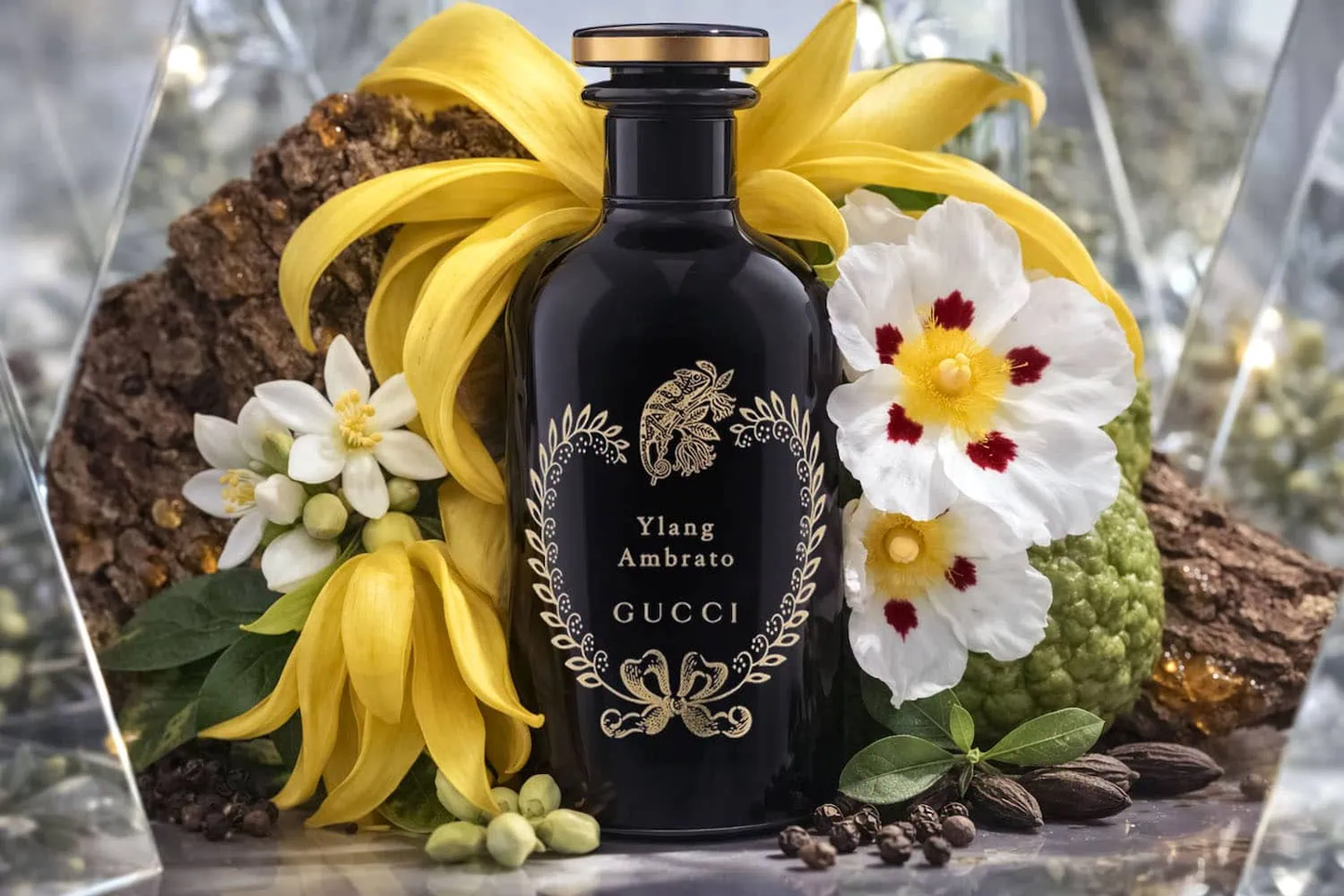 Gucci Ylang Ambrato Eau de Parfum 100ml