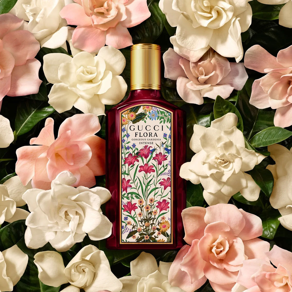 Flora Gorgeous Gardenia Intense by Gucci – Eau de Parfum 100ML (2025)
